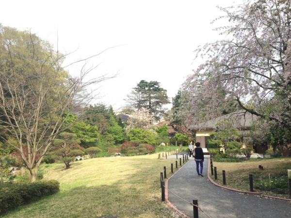 f:id:airgyan:20170417215333j:image