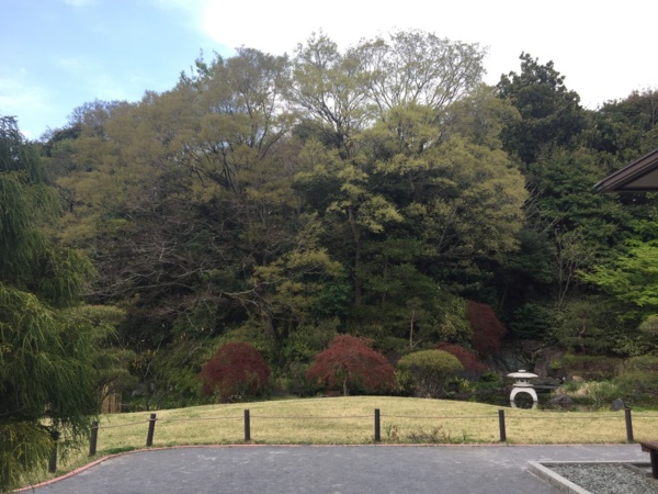 f:id:airgyan:20170417215335j:image