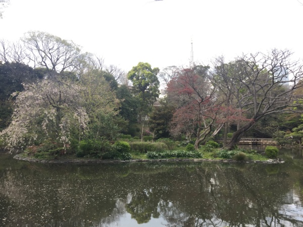 f:id:airgyan:20170417215341j:image f:id:airgyan:20170417215341j:image