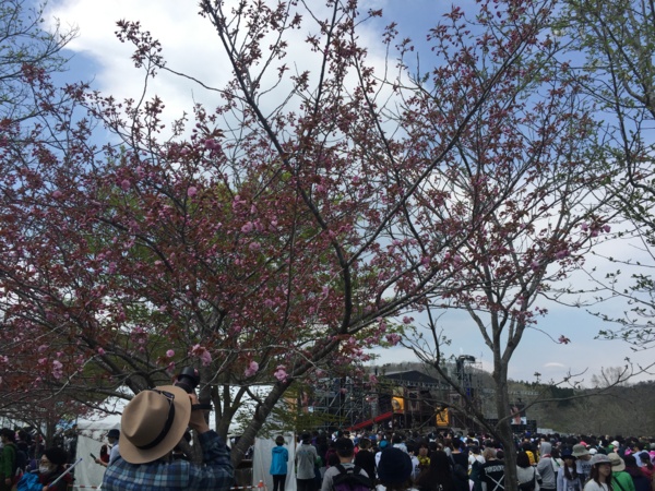 f:id:airgyan:20170502223158j:image f:id:airgyan:20170502223158j:image