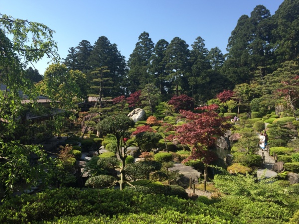 f:id:airgyan:20170504214518j:image f:id:airgyan:20170504214518j:image