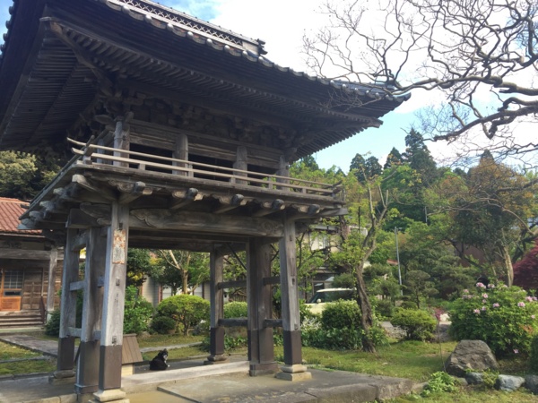 f:id:airgyan:20170504214531j:image f:id:airgyan:20170504214531j:image
