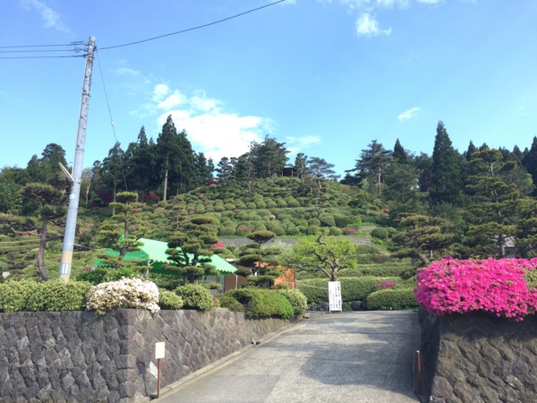f:id:airgyan:20170504220437j:image f:id:airgyan:20170504220437j:image