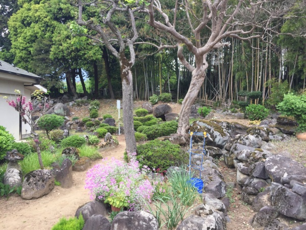 [Travel][Garden]