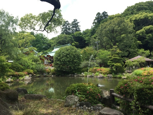 f:id:airgyan:20170606232800j:image f:id:airgyan:20170606232800j:image