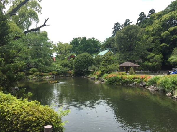 f:id:airgyan:20170606232801j:image f:id:airgyan:20170606232801j:image