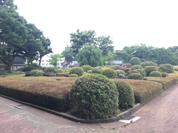 f:id:airgyan:20170620221012j:image f:id:airgyan:20170620221012j:image