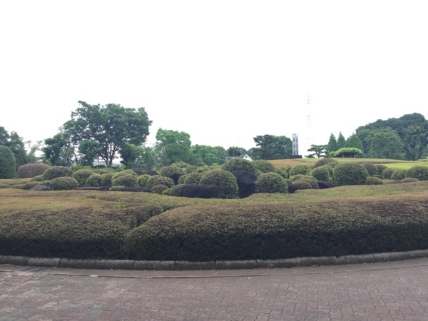 f:id:airgyan:20170620221013j:image