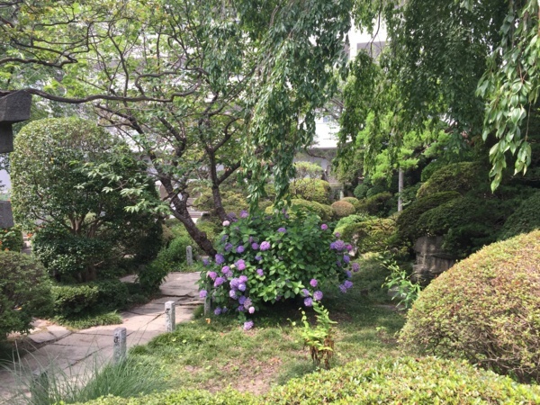 f:id:airgyan:20170801231641j:image f:id:airgyan:20170801231641j:image