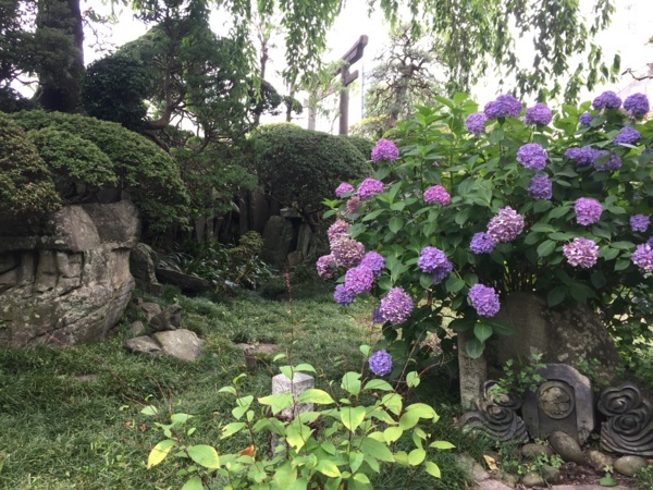 f:id:airgyan:20170801231653j:image f:id:airgyan:20170801231653j:image