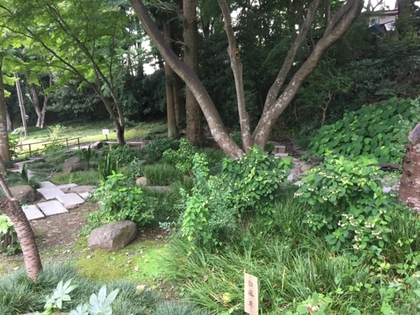 [Travel][Garden]