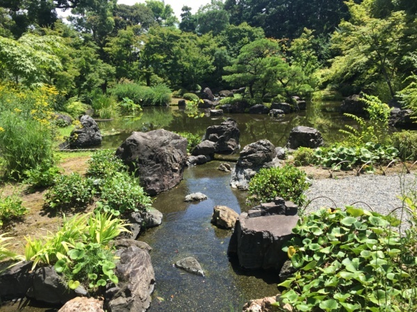 f:id:airgyan:20170816222556j:image