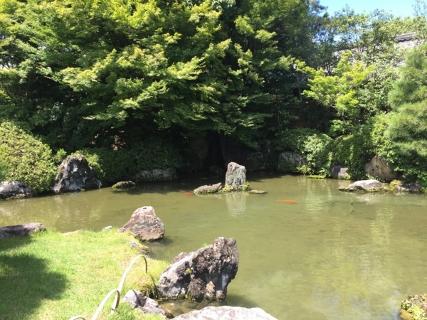 f:id:airgyan:20170816222614j:image f:id:airgyan:20170816222614j:image
