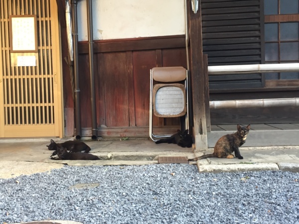f:id:airgyan:20170816224220j:image