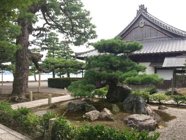 f:id:airgyan:20170816233035j:image f:id:airgyan:20170816233035j:image