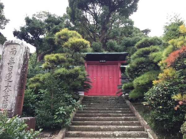 [浜松静岡][Garden]