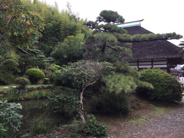 [浜松静岡][Garden]