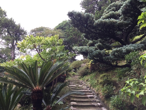 [浜松静岡][Garden]