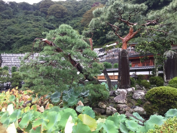 [浜松静岡][Garden]