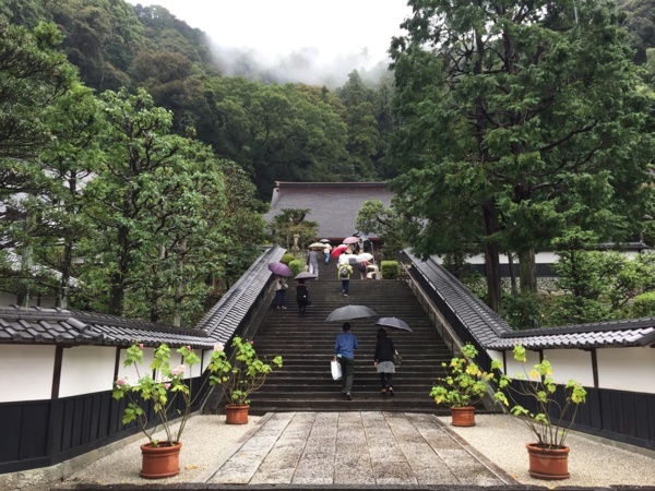 [浜松静岡][Garden]