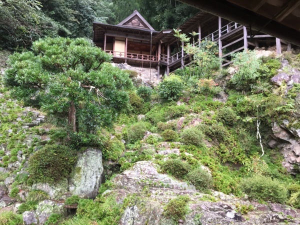 [浜松静岡][Garden]