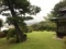 [Garden]
