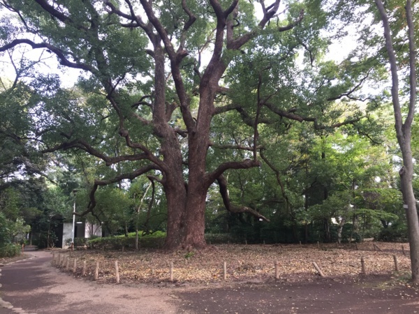 f:id:airgyan:20171101181318j:image