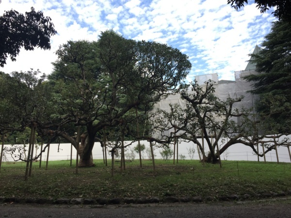 f:id:airgyan:20171101181320j:image