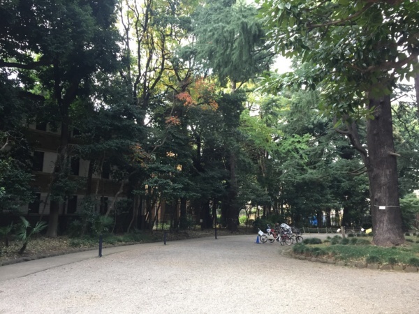 f:id:airgyan:20171101181321j:image