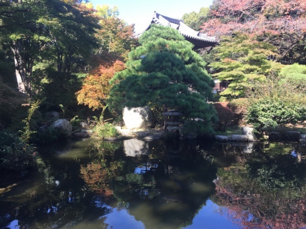 f:id:airgyan:20171106193923j:image