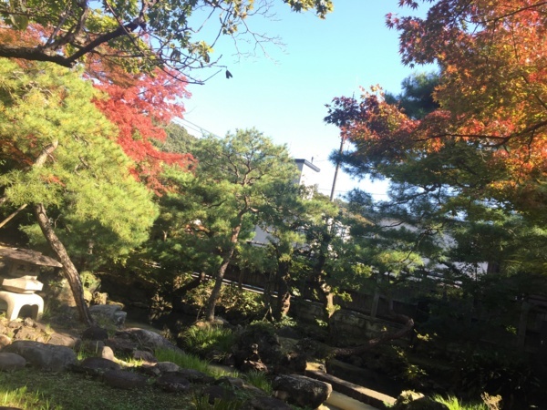 f:id:airgyan:20171106195114j:image f:id:airgyan:20171106195114j:image