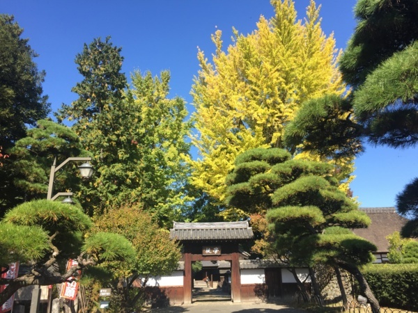 f:id:airgyan:20171106195128j:image f:id:airgyan:20171106195128j:image