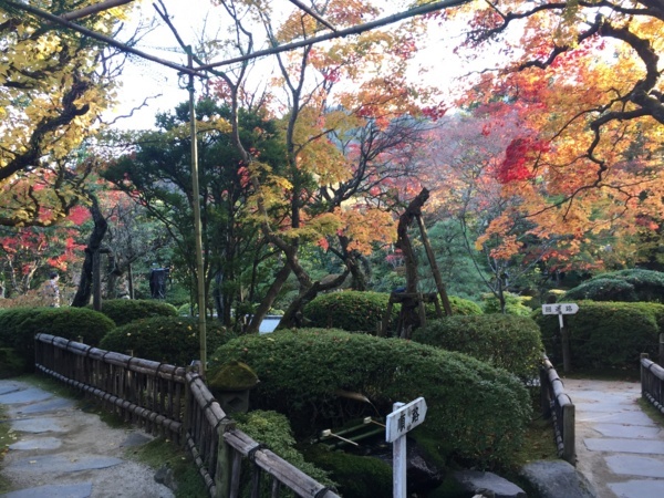 f:id:airgyan:20171106201047j:image f:id:airgyan:20171106201047j:image