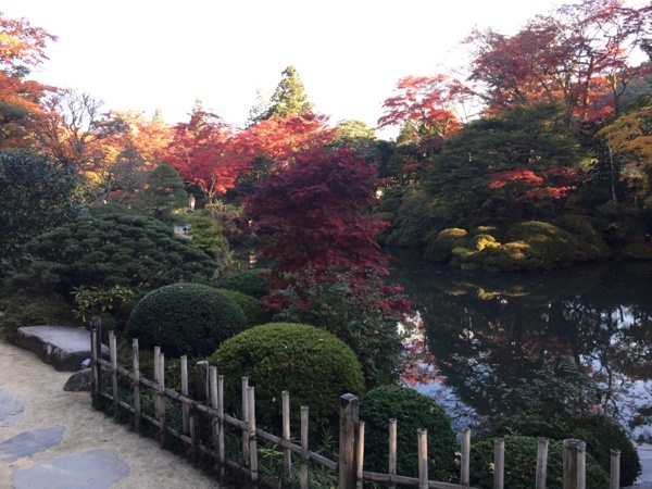 f:id:airgyan:20171106201927j:image f:id:airgyan:20171106201927j:image