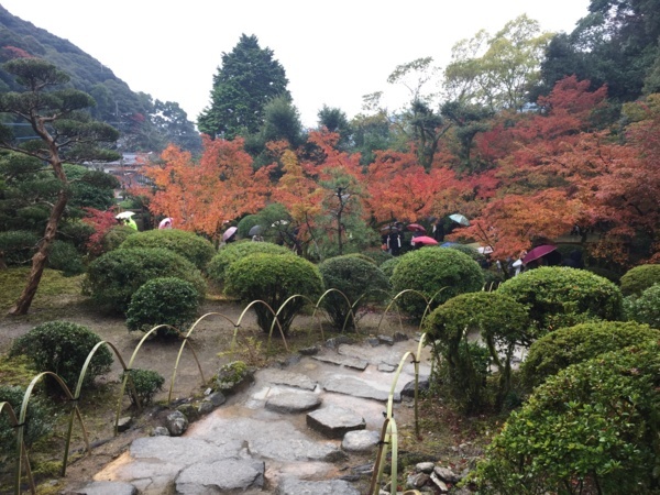 f:id:airgyan:20171126001016j:image