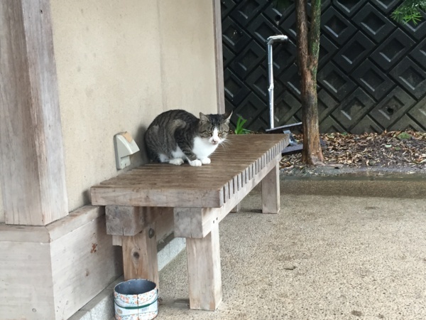 f:id:airgyan:20171126001942j:image f:id:airgyan:20171126001942j:image