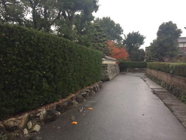 f:id:airgyan:20171126002508j:image f:id:airgyan:20171126002508j:image