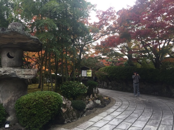 f:id:airgyan:20171205135132j:image f:id:airgyan:20171205135132j:image
