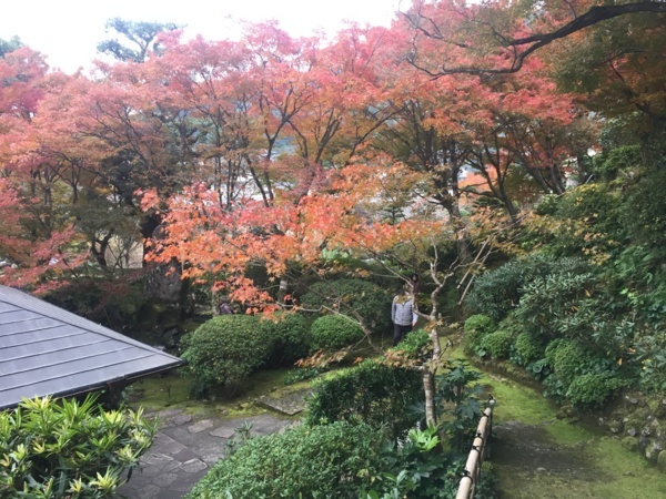 f:id:airgyan:20171205135151j:image f:id:airgyan:20171205135151j:image