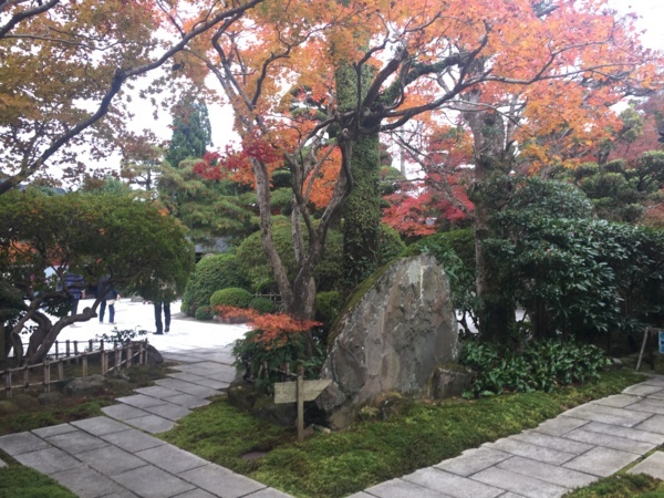 f:id:airgyan:20171205135153j:image f:id:airgyan:20171205135153j:image