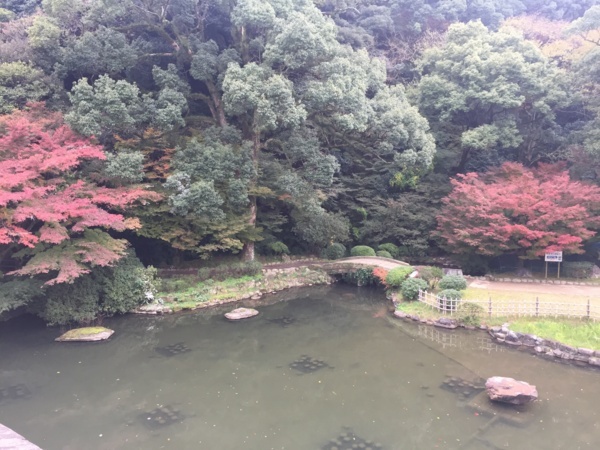 f:id:airgyan:20171205140400j:image f:id:airgyan:20171205140400j:image