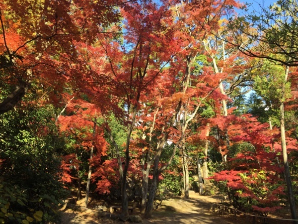 [浜松静岡][Garden]