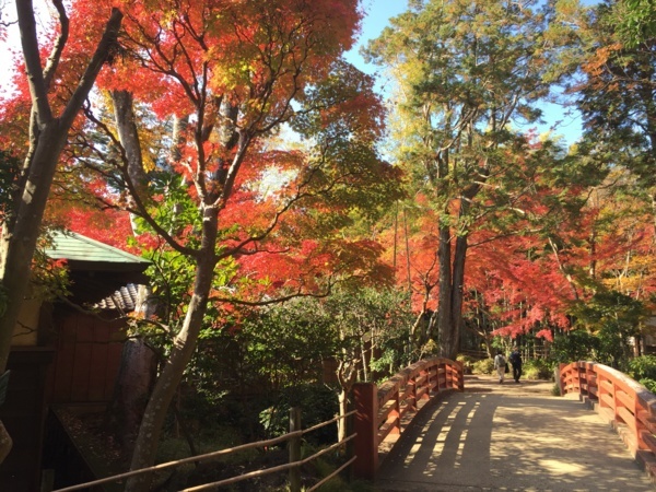 [浜松静岡][Garden]