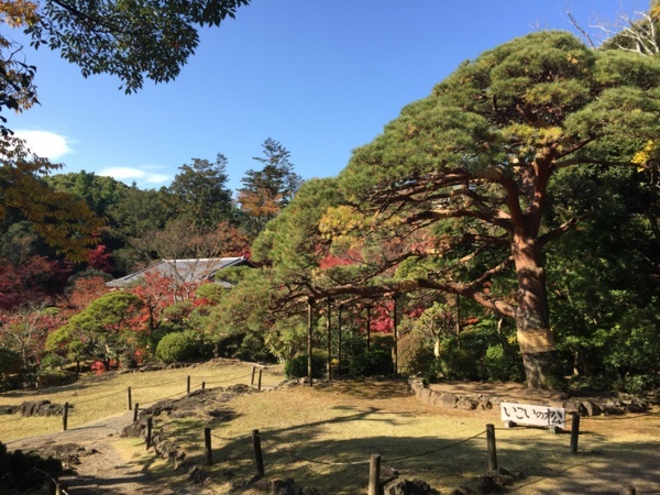 [浜松静岡][Garden]