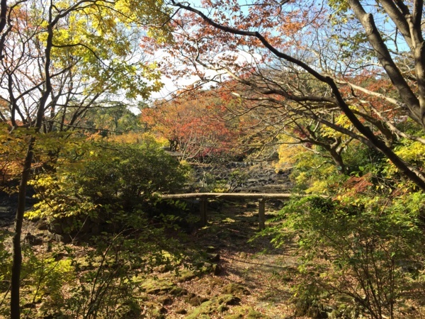 [浜松静岡][Garden]