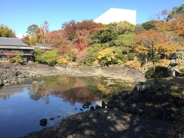 [浜松静岡][Garden]