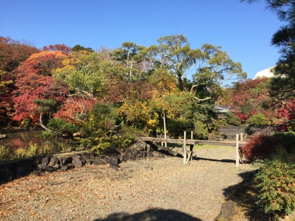 [浜松静岡][Garden]