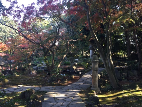 [浜松静岡][Garden]