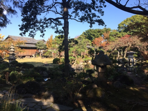 [浜松静岡][Garden]