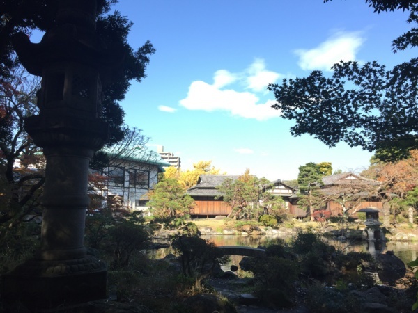 [浜松静岡][Garden]